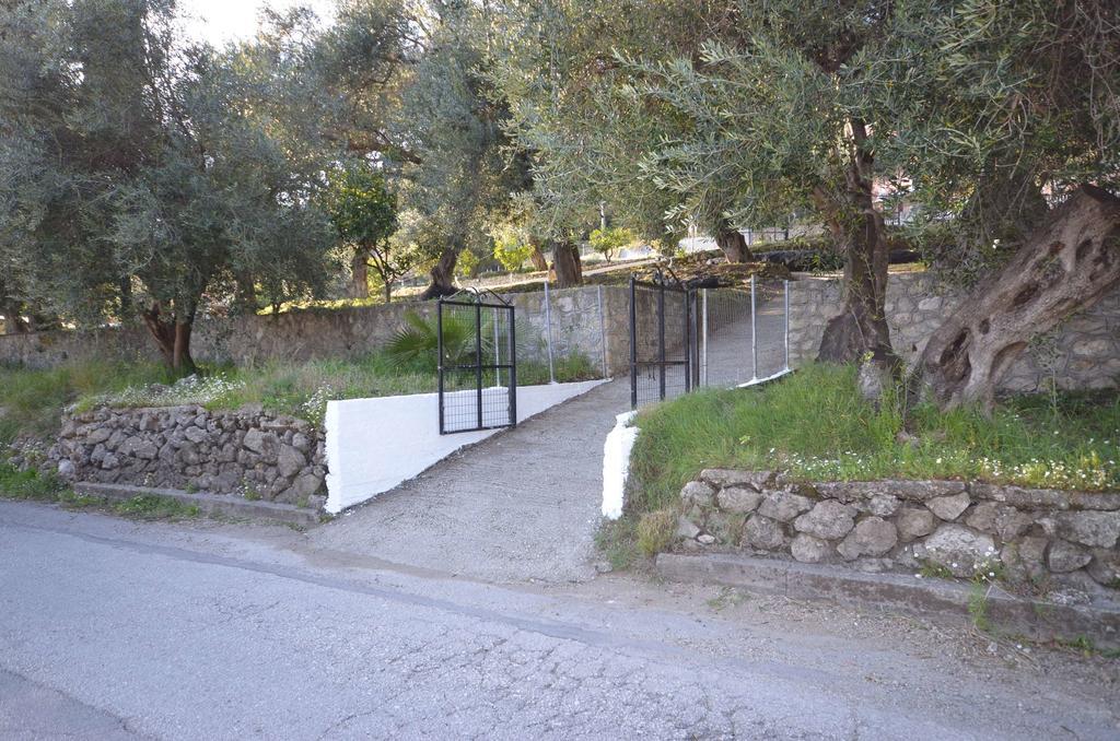 Lisipio Studios by Eleni Paleokastritsa Exterior foto